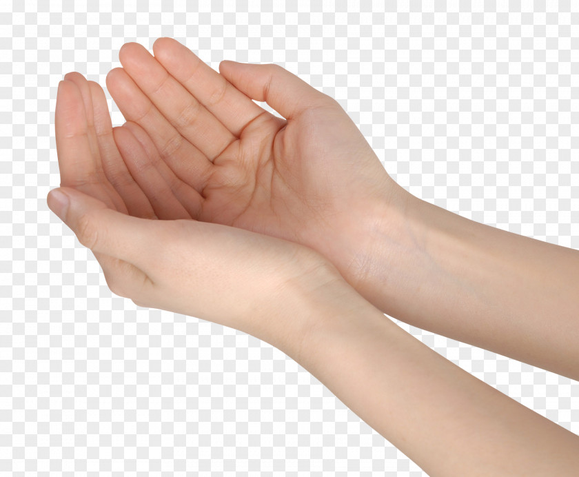 Hands Holding Something PNG holding something clipart PNG