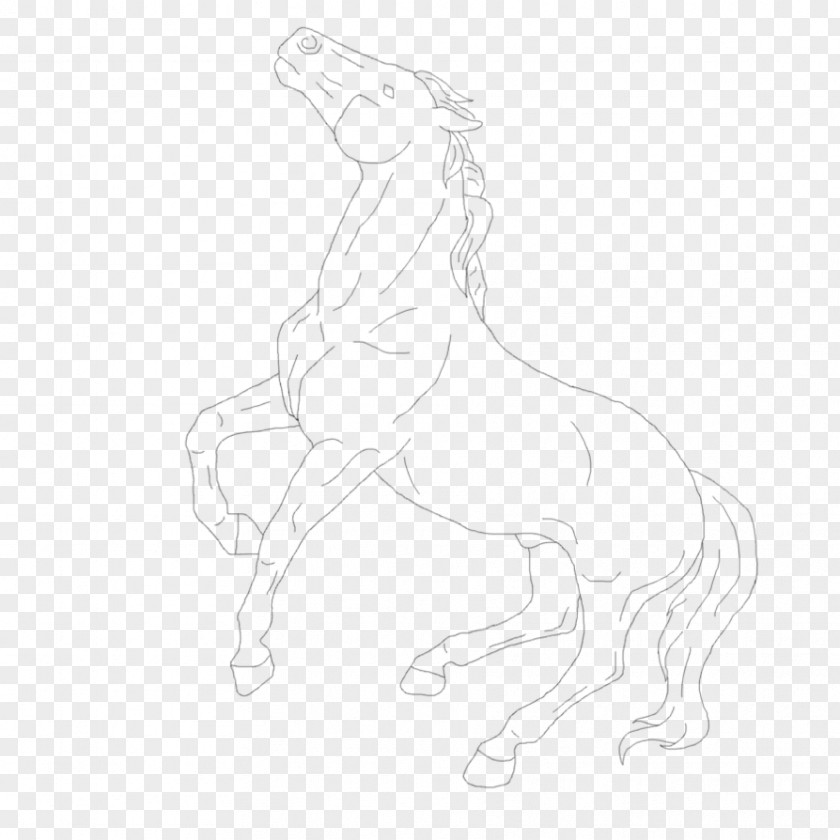 Mustang Mane Pony Stallion Colt PNG