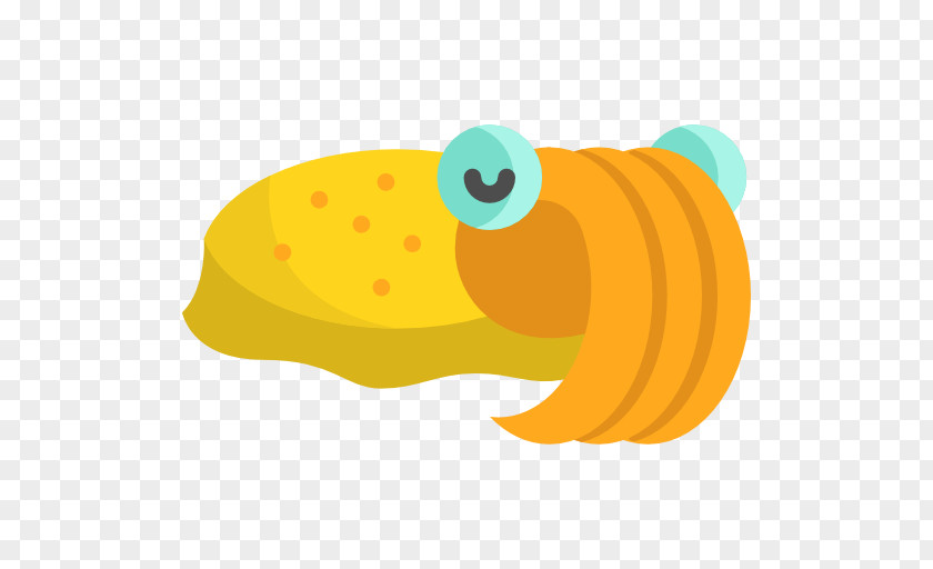 Organism Orange Yellow PNG