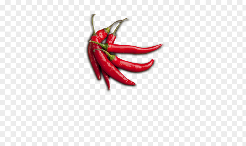 Red Pepper Chile De Xe1rbol Birds Eye Chili Cayenne Serrano Tabasco PNG