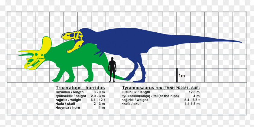 Tyrannosaurus Triceratops Spinosaurus Tarbosaurus Giganotosaurus PNG
