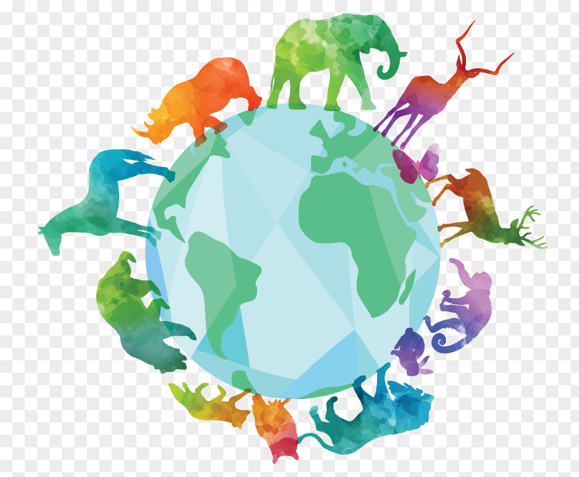Biodiversity Organism Ecosystem Species Diversity Sustainability PNG