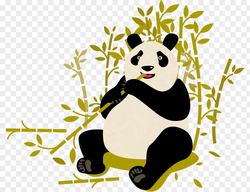 Giant Panda Bear Ailuropoda Melanoleuca Daxiangling Qin Mountains Min PNG