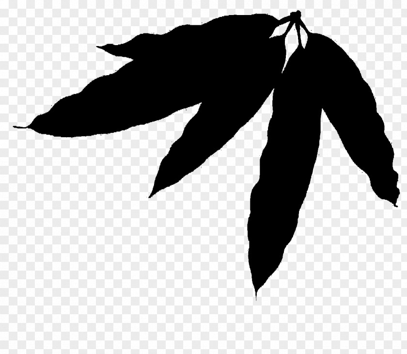 M Leaf Font Silhouette Tree Black & White PNG