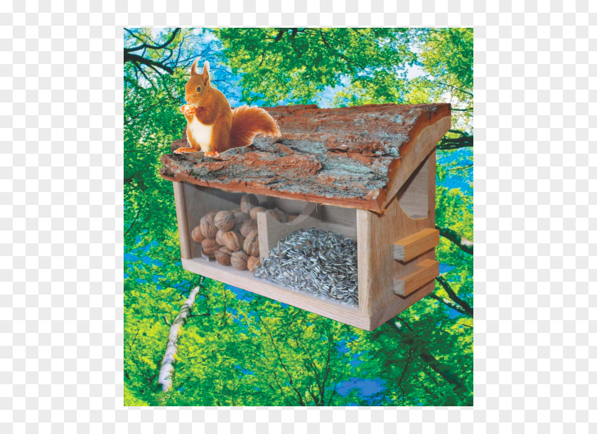 Owl Red Squirrel Bird House PNG