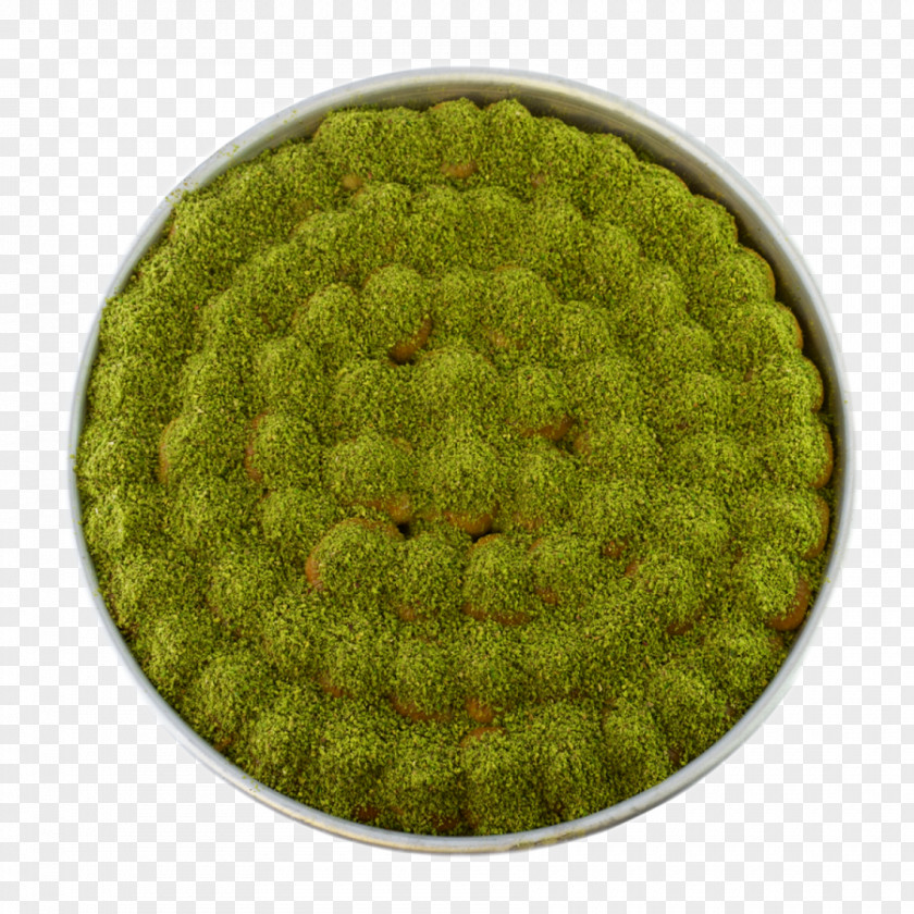 Baklava Biome PNG