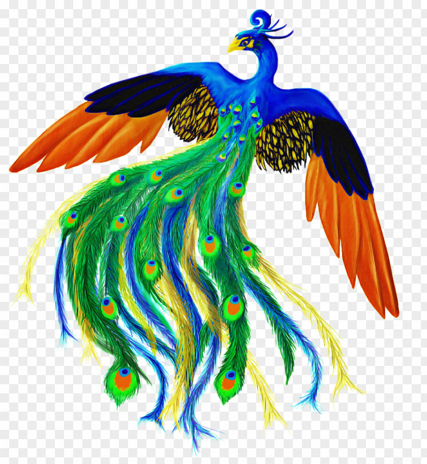 Bird-of-paradise PNG