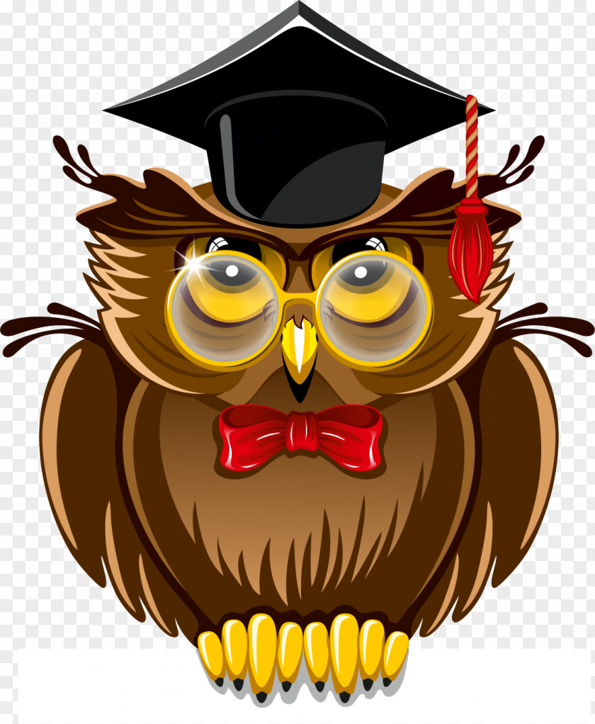 Owls Drawing Square Academic Cap Teacher Caricature PNG