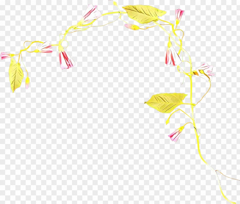 Pink Yellow PNG