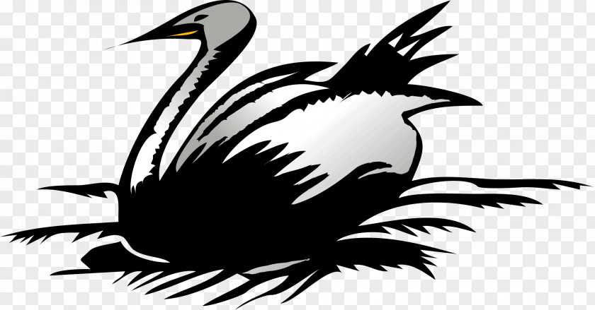 Swan Cygnini Clip Art PNG