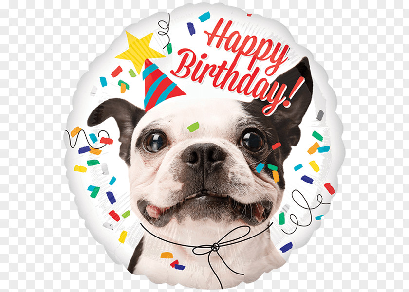 Balloon Mylar Dog Birthday PNG