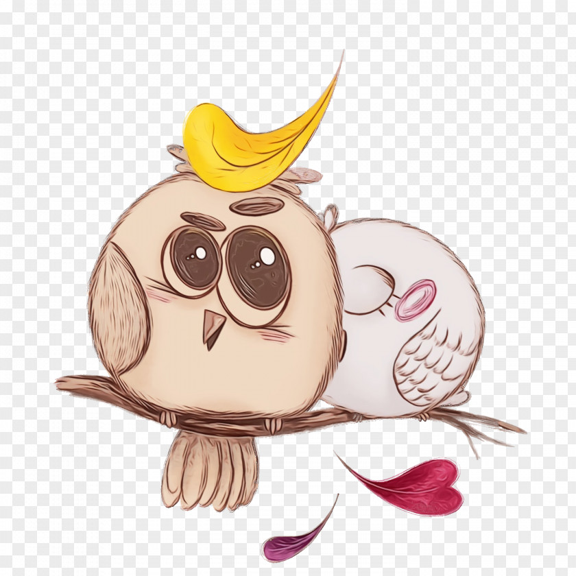 Birds Owls Beak Owl M Character PNG