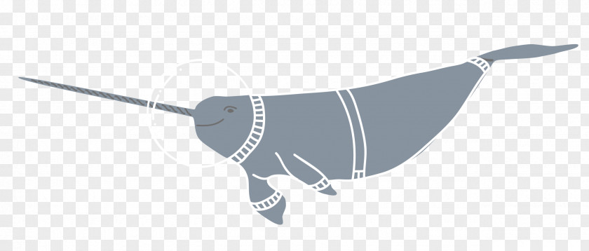 Blue Dolphin Download PNG