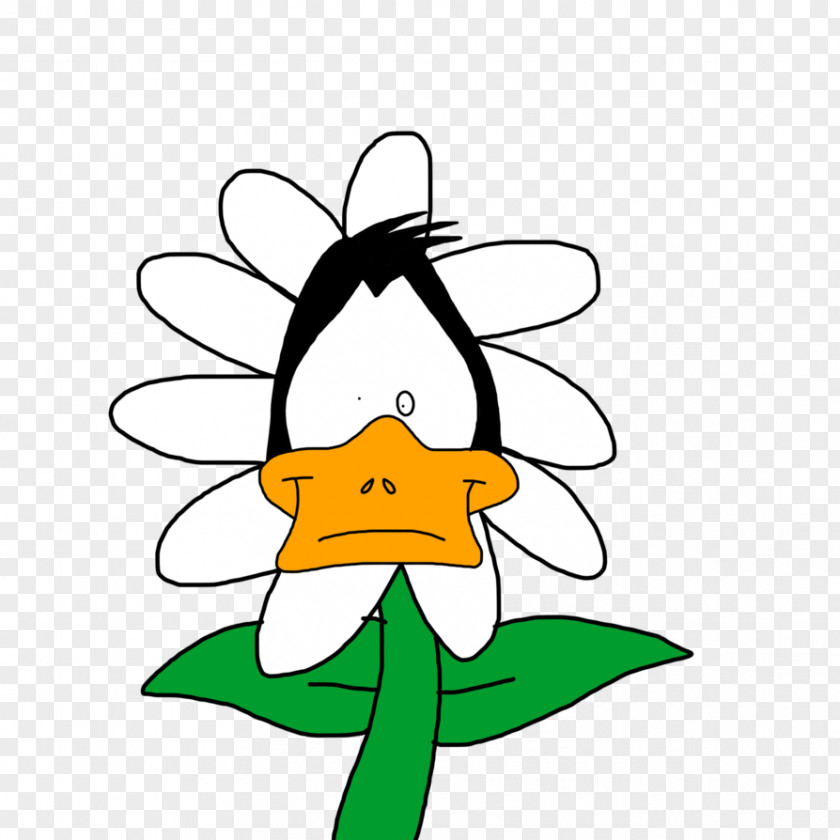 Duck Daffy Drawing Looney Tunes Cartoon PNG