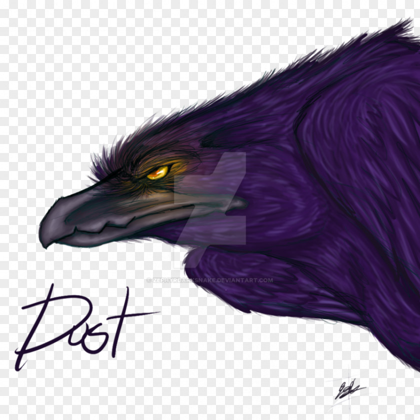 Eagle Beak Feather PNG