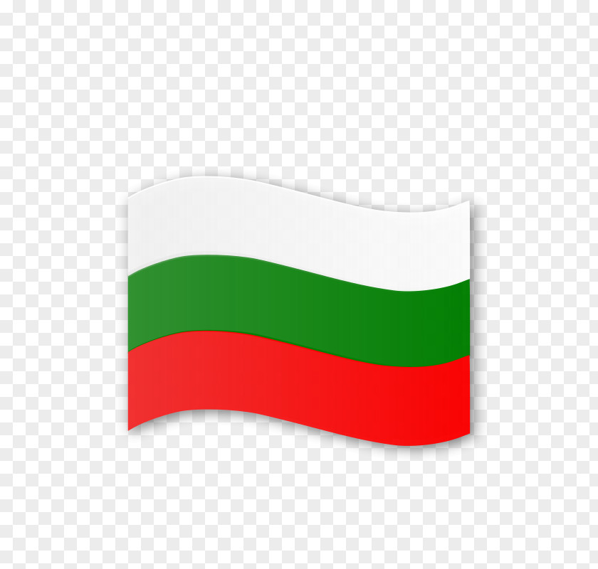 Flag Of Bulgaria Warsaw 2018-01-06 PNG