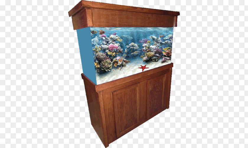 J S Enterprises Reef Aquarium Furniture Lighting Tropical Fish PNG