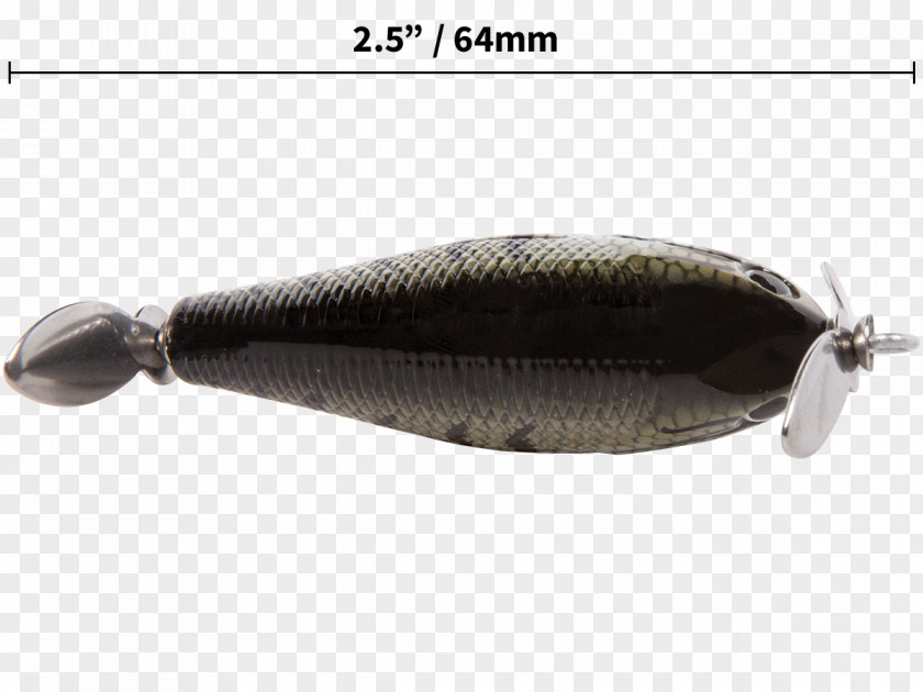 Large Mouth Bass Product Fish PNG