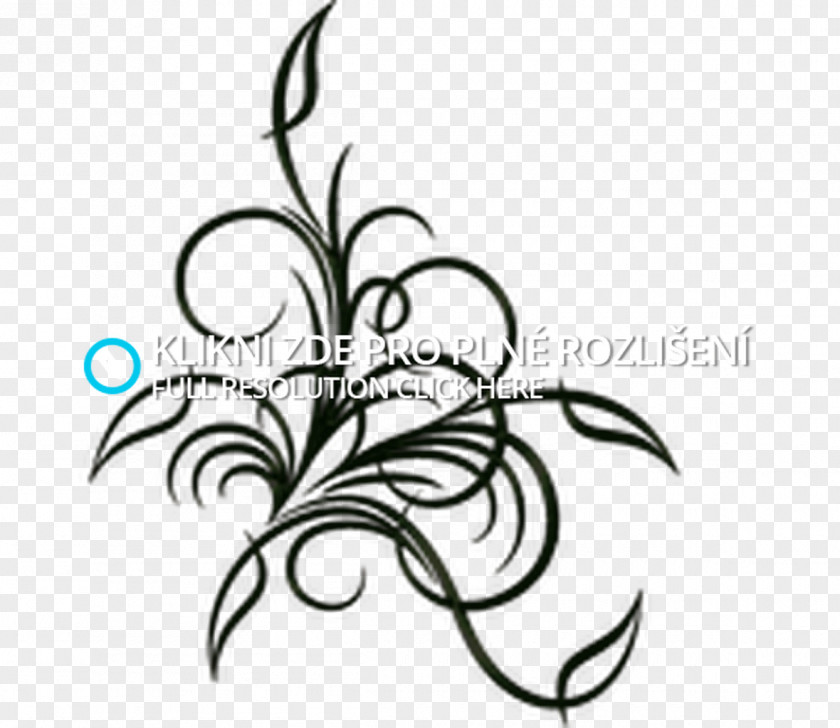 Maska Icon Vector Graphics Royalty-free Stock Photography Floral Design PNG
