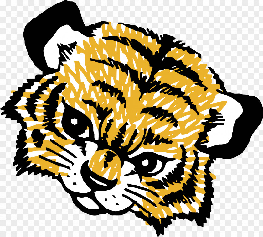 Hob Tiger Clip Art Illustration Lion PNG