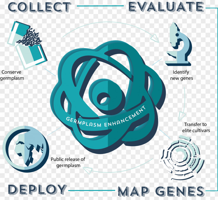 Kansas State University Colorado System Research PNG