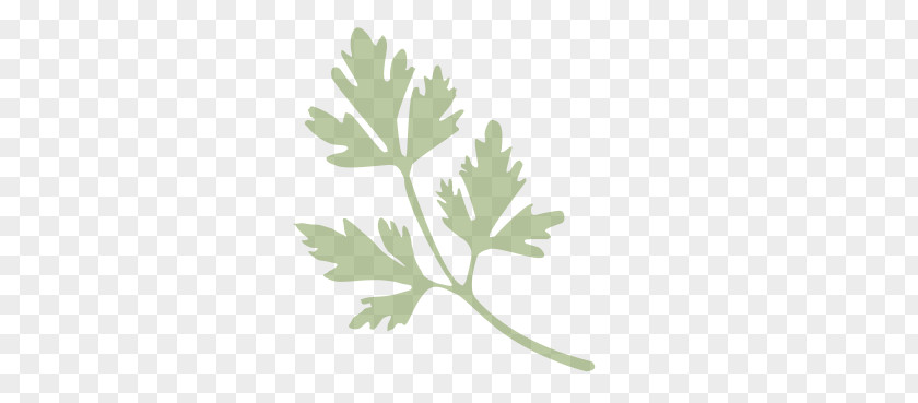 Lovage Geranium Cartoon Plane PNG