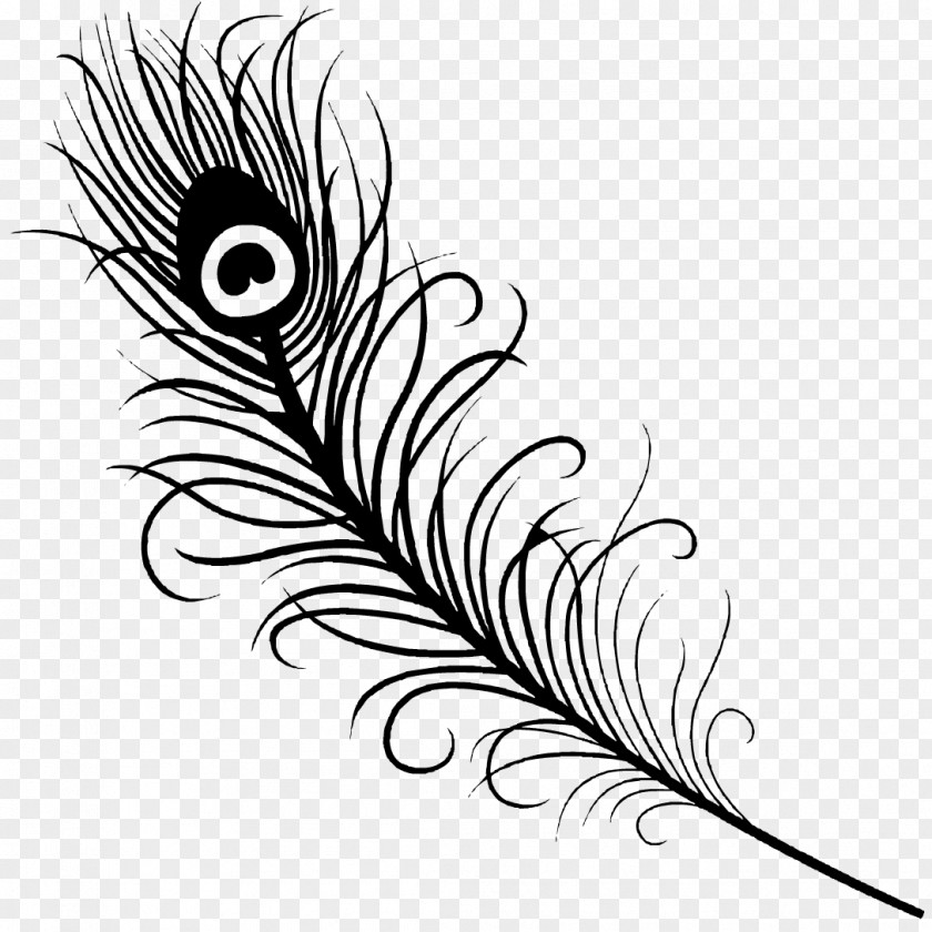 Peacock Feather Tattoo Peafowl Drawing Clip Art PNG