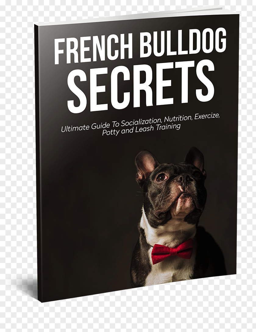 French Dog Boston Terrier Bulldog Breed Non-sporting Group PNG
