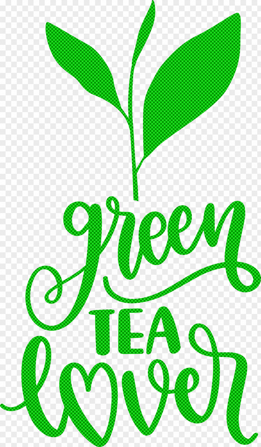 Green Tea Lover PNG