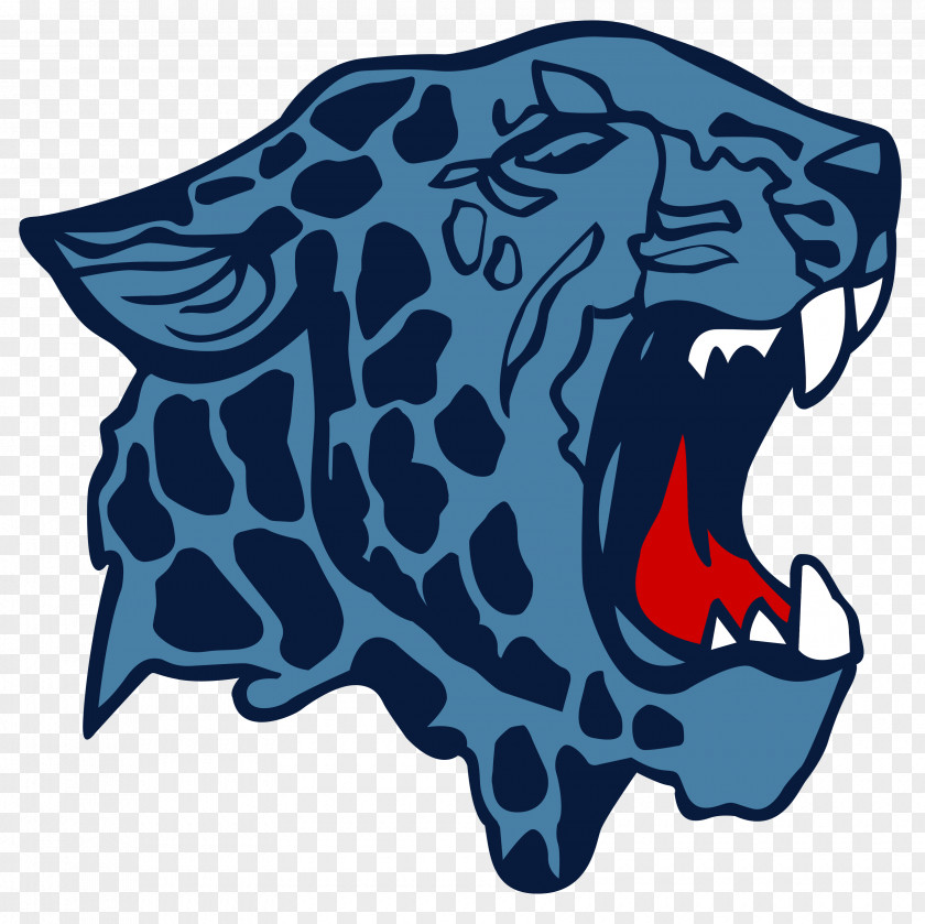 Leopard Football Cliparts Louisville High School St. Thomas Aquinas City District Middle PNG