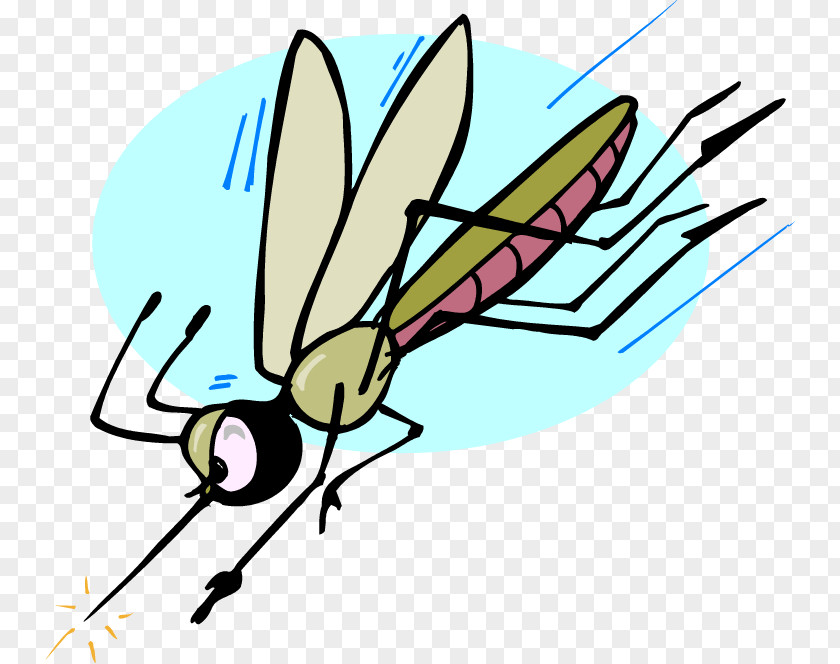 Mosquito Attack The Insect Repellent Clip Art PNG