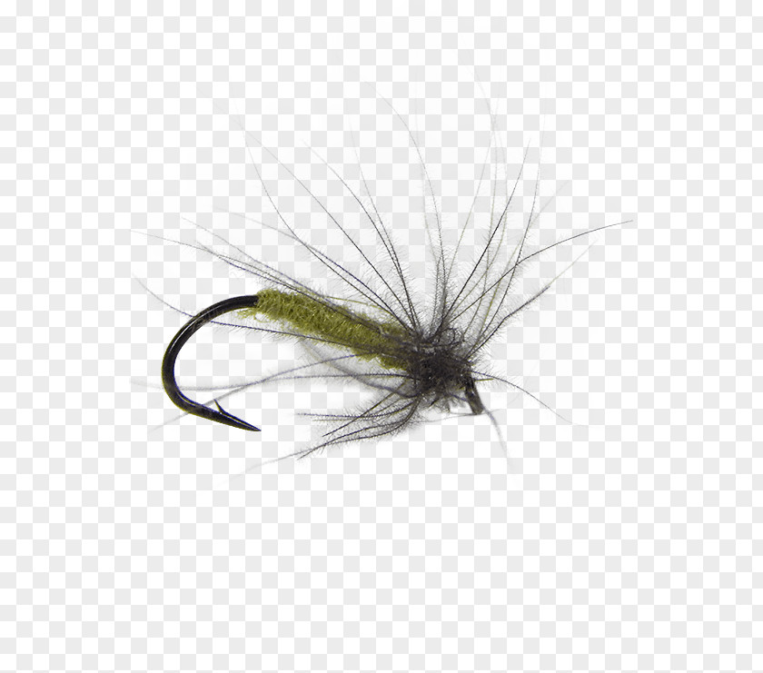 Puff Daddy Artificial Fly Insect Fishing Tying PNG