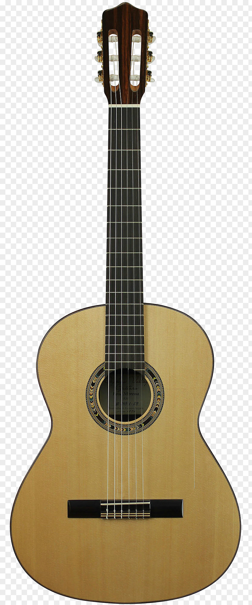 Acoustic Guitar Classical Musical Instruments Cutaway PNG