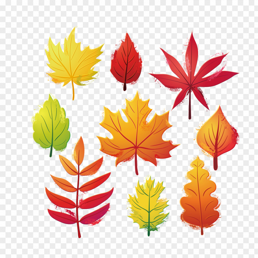 Autumn Leaves Image Leaf Clip Art PNG