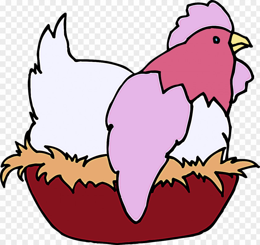 Rooster Beak Chicken Bird PNG