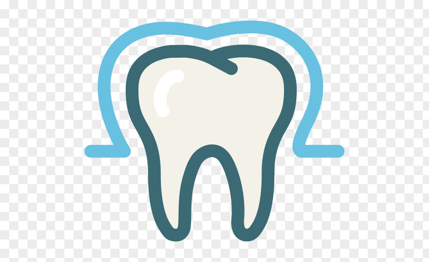 Tooth Enamel Dentistry Human PNG