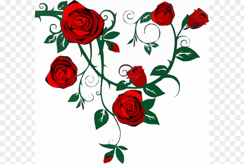 Adriane Cliparts Rose Vine Drawing Clip Art PNG