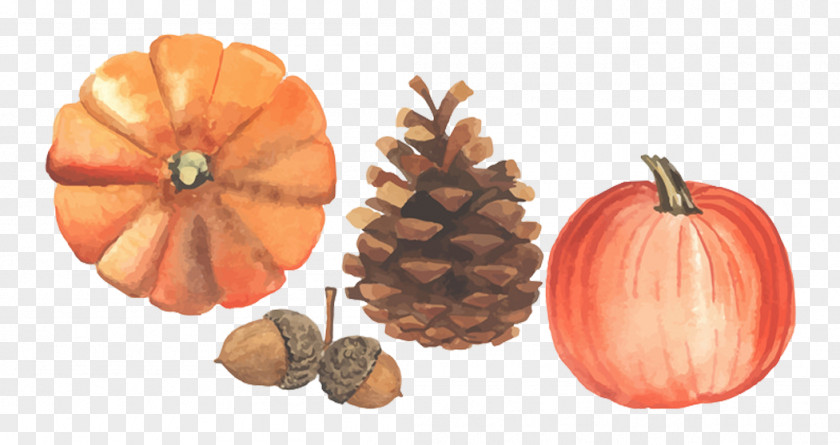 Autumn Harvest Season Illustration PNG