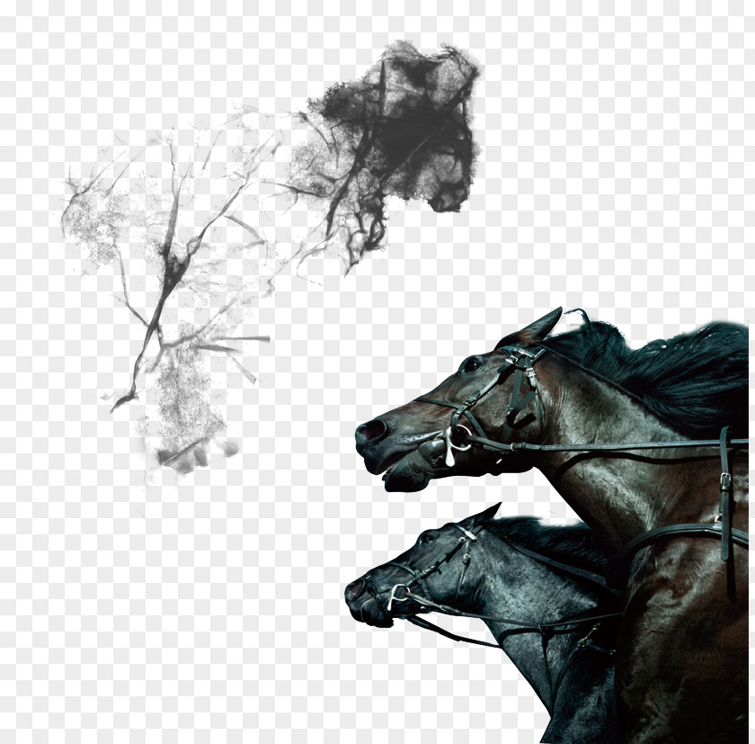 Horse Creative Mobile Phone Android PNG