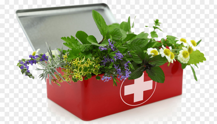 Medicinal Herbs First Aid Kits Herbalism Herbal By Raleigh Briggs PNG