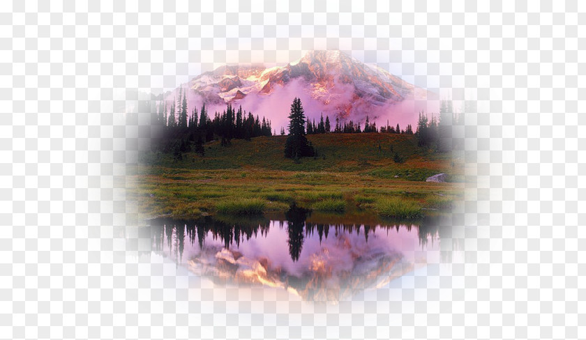 Mountain Beautiful Mount Rainier Landscape PNG