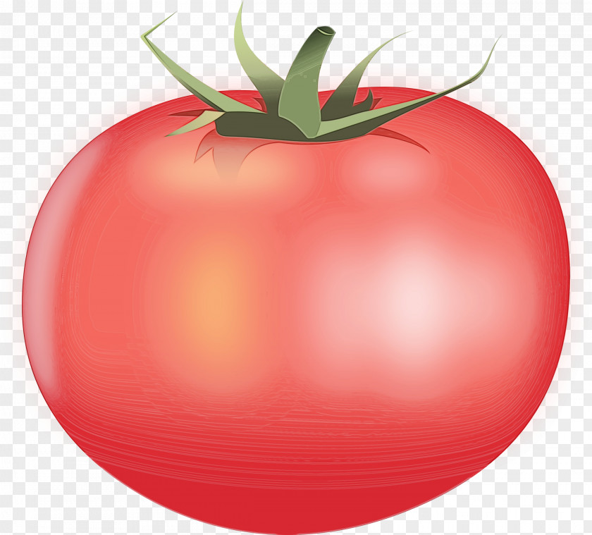 Plum Tomato Nightshade Family PNG