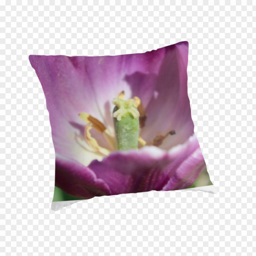 Purple Tulips Lilac Lavender Violet Cushion Magenta PNG