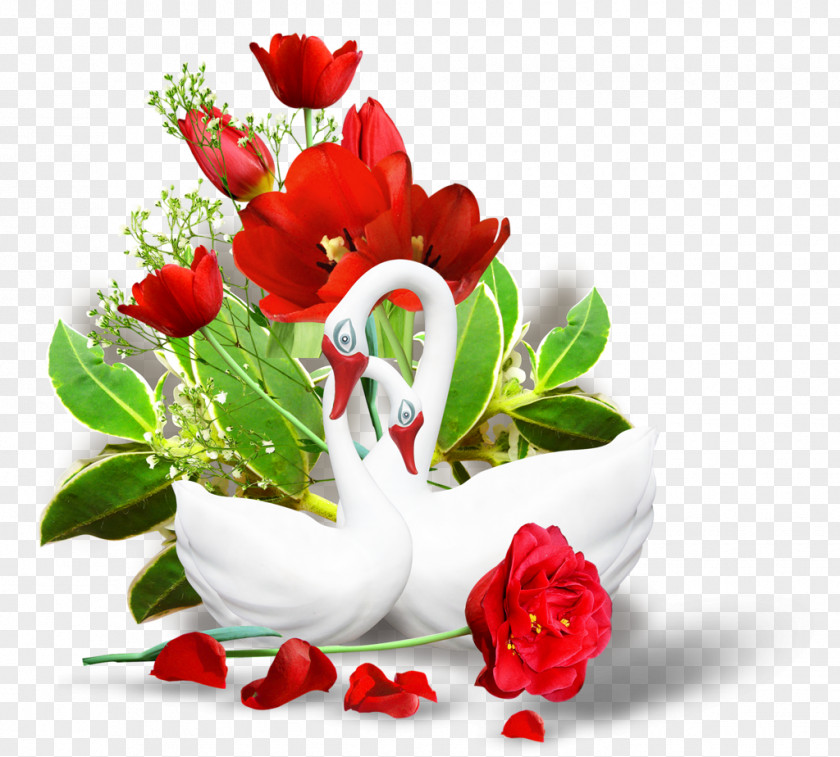 Real Flower Clip Art PNG