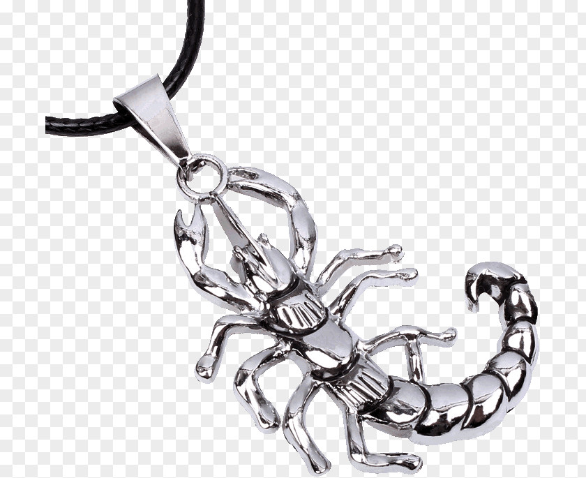 Scorpion Charms & Pendants Earring Silver Necklace PNG