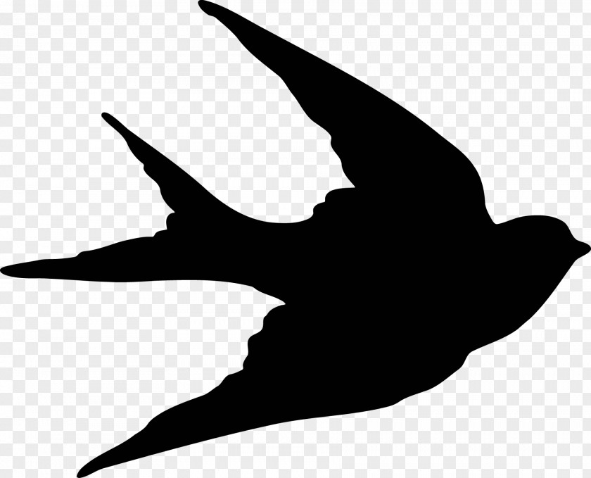 Sparrow Bird Swallow Silhouette Clip Art PNG
