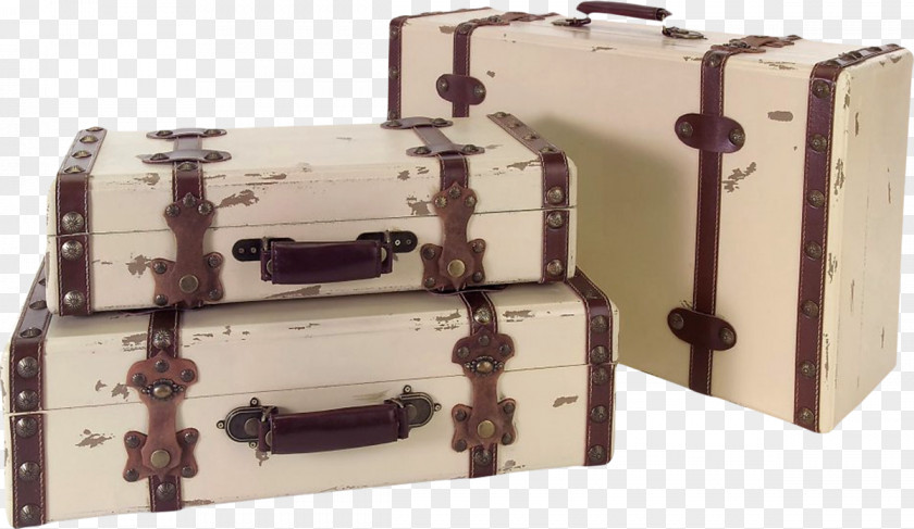 Suitcases Suitcase Trunk Eastpak Tranverz PNG