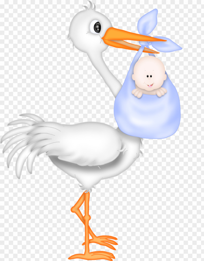 Use These Baby Vector Clipart Wedding Invitation Shower Stork Infant PNG