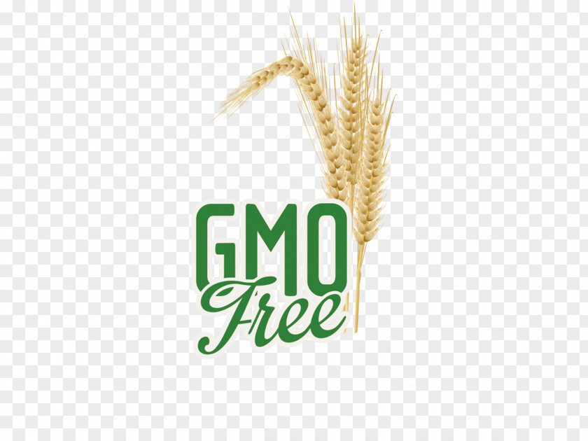 Wheat Label Logo Cereal Germ PNG