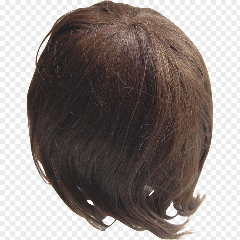 Wigs Wig Artificial Hair Integrations Pageboy Fashion PNG